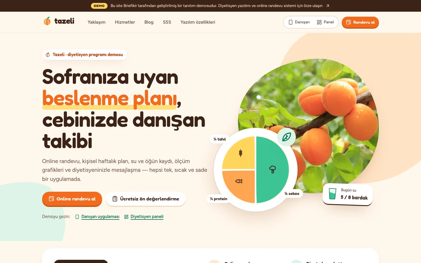 Diyetisyen Programı — Demo — masaüstü görünüm