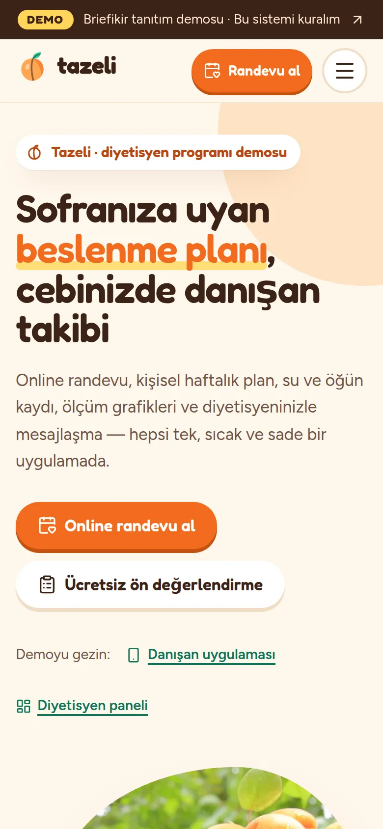 Diyetisyen Programı — Demo — mobil görünüm
