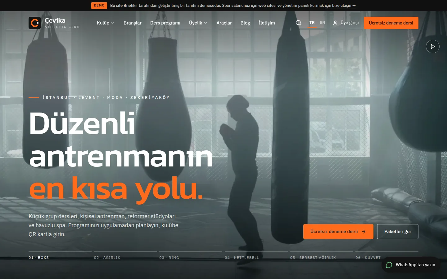 Spor Salonu Web Sitesi ve Yönetim Paneli — Demo — masaüstü görünüm