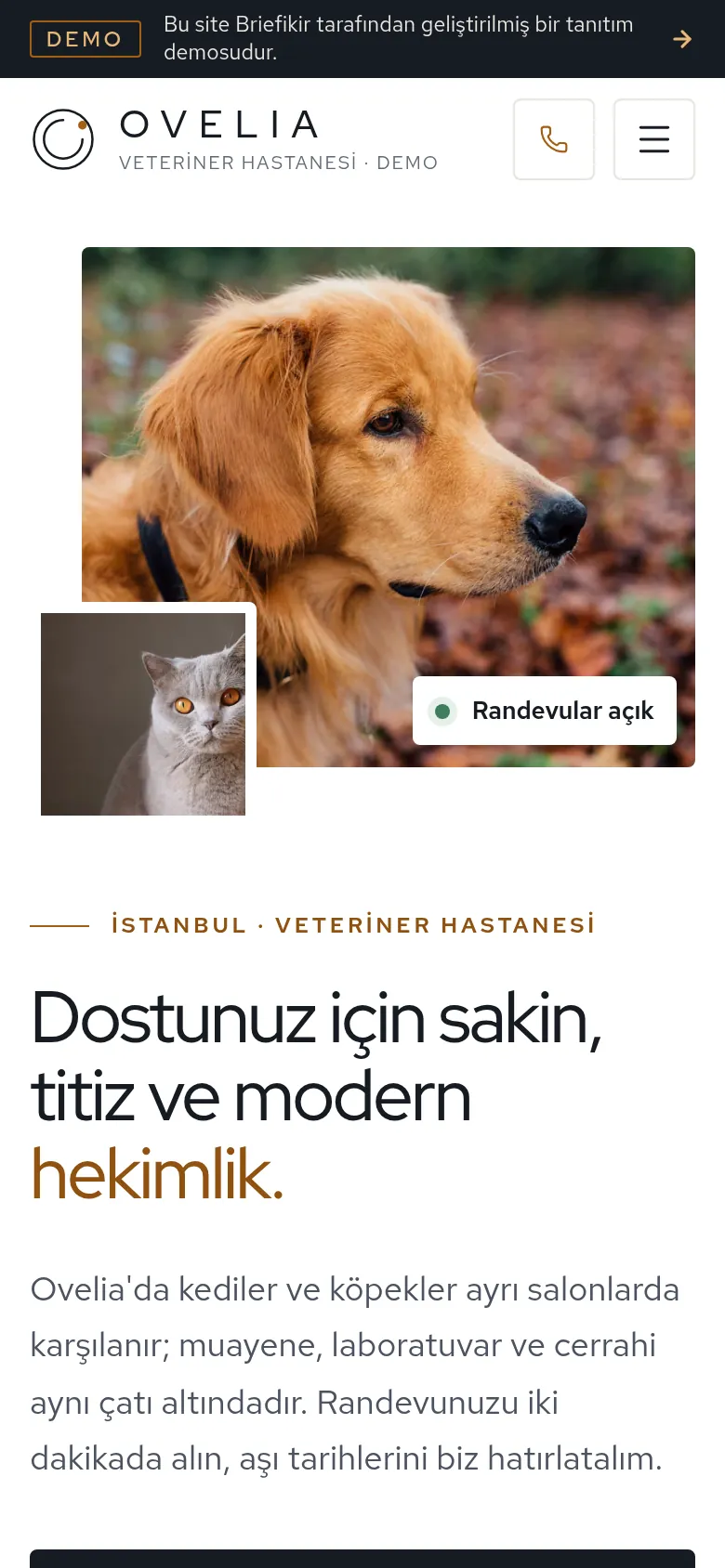 Veteriner Klinik Yazılımı — Demo — mobil görünüm