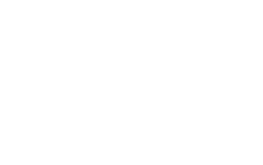Sts Guvenlik logosu